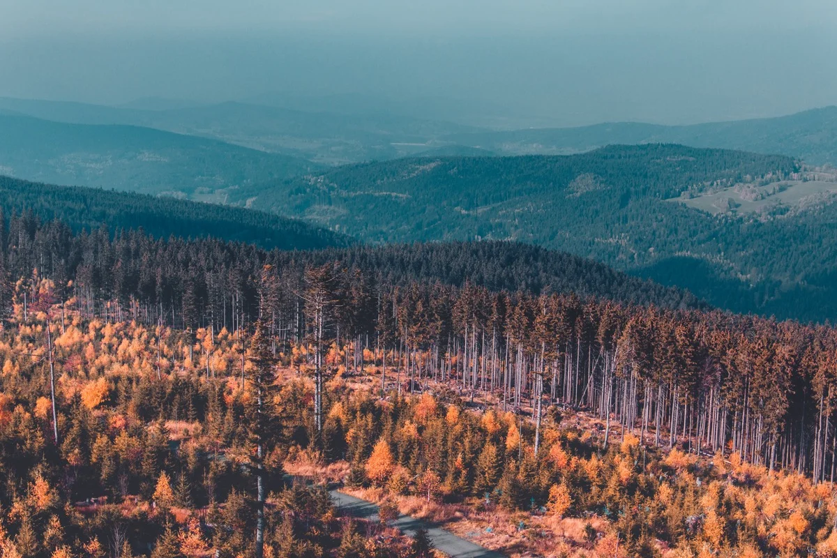 Výhled z Poledníku