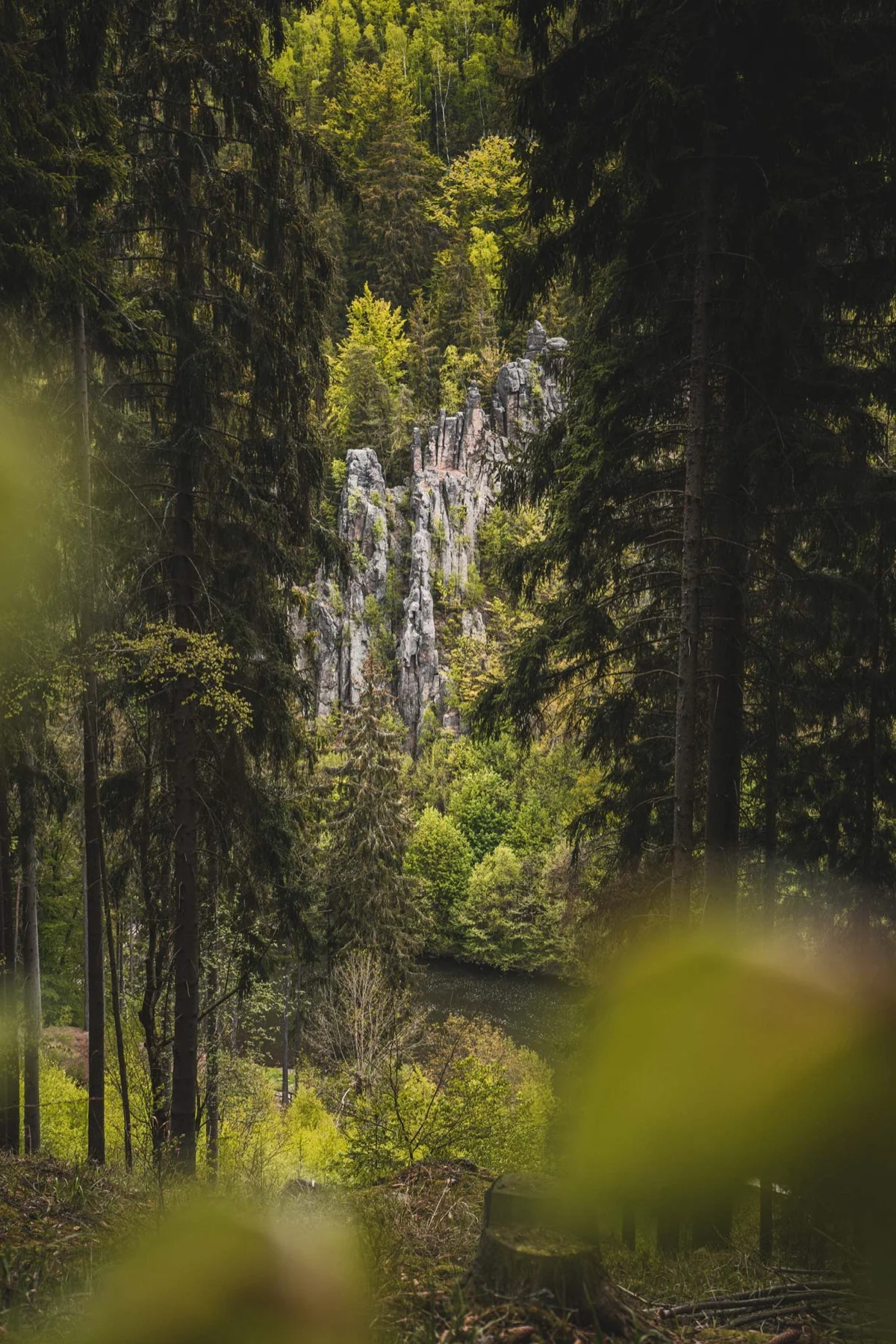 Výhled na řeku Ohři