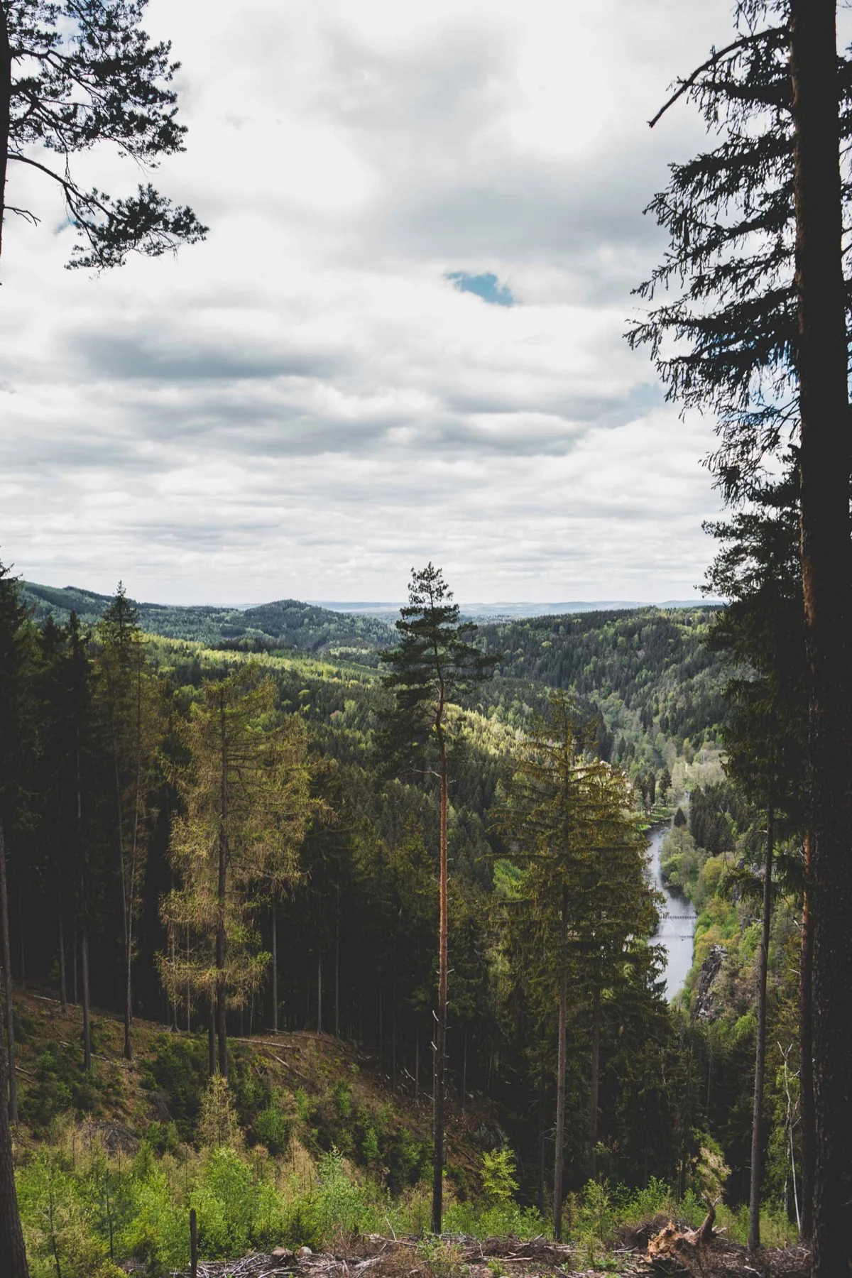 Výhled ze Starého Loktu na řeku
